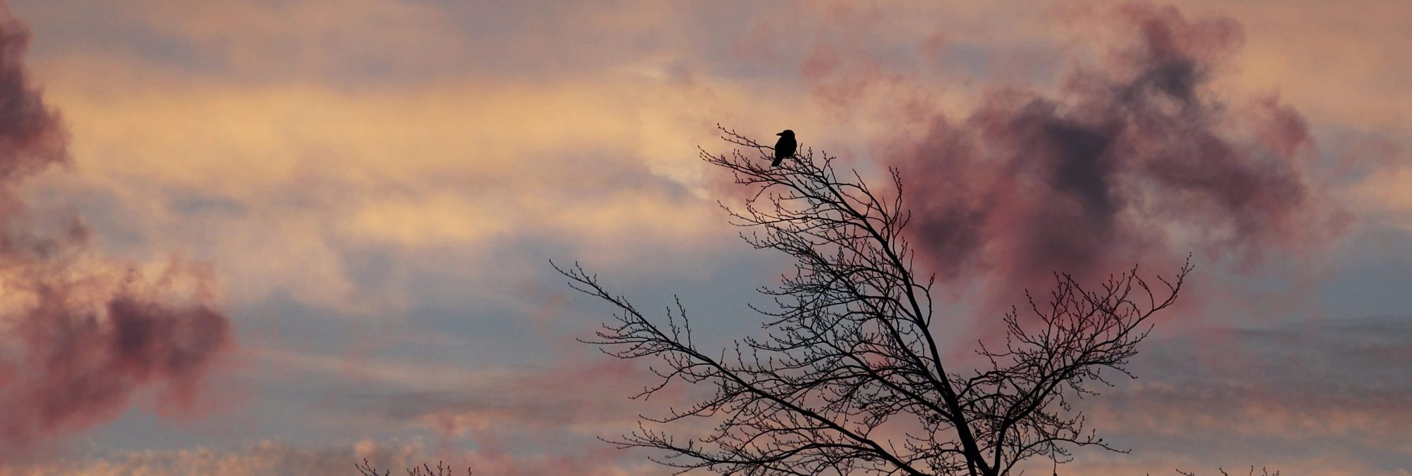 Mindfulness Training in Zeist