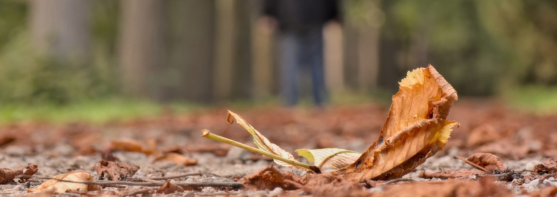 Lichaamsgerichte Psychotherapie in Zeist