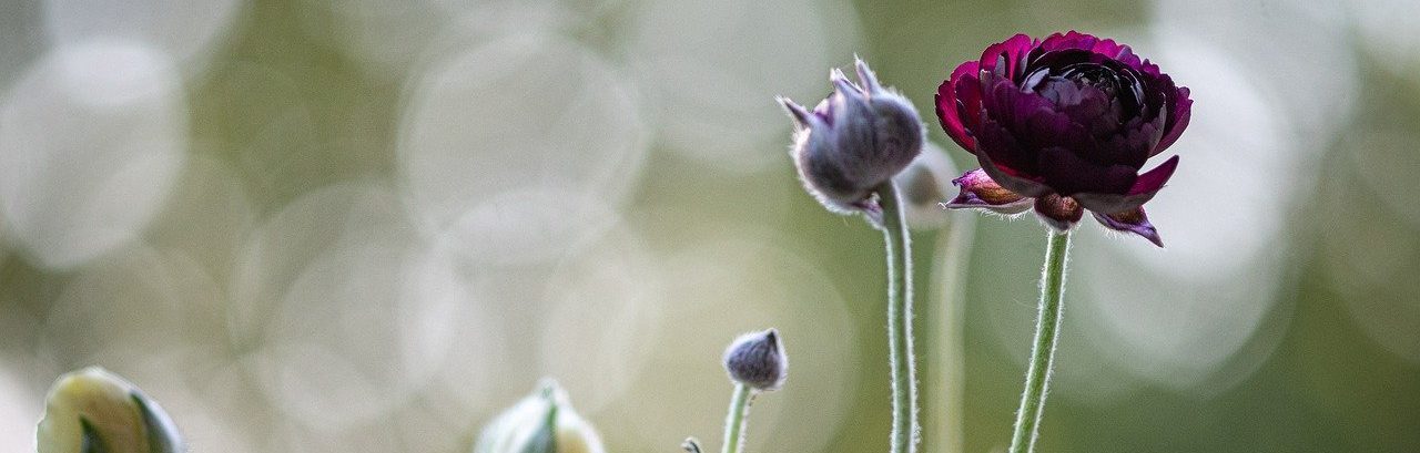 Mindfulness Training in Zeist